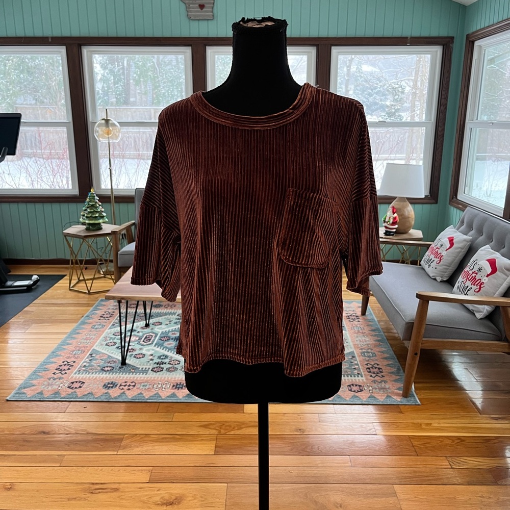 Love Riche Velvet Purple Short Sleeve Top
